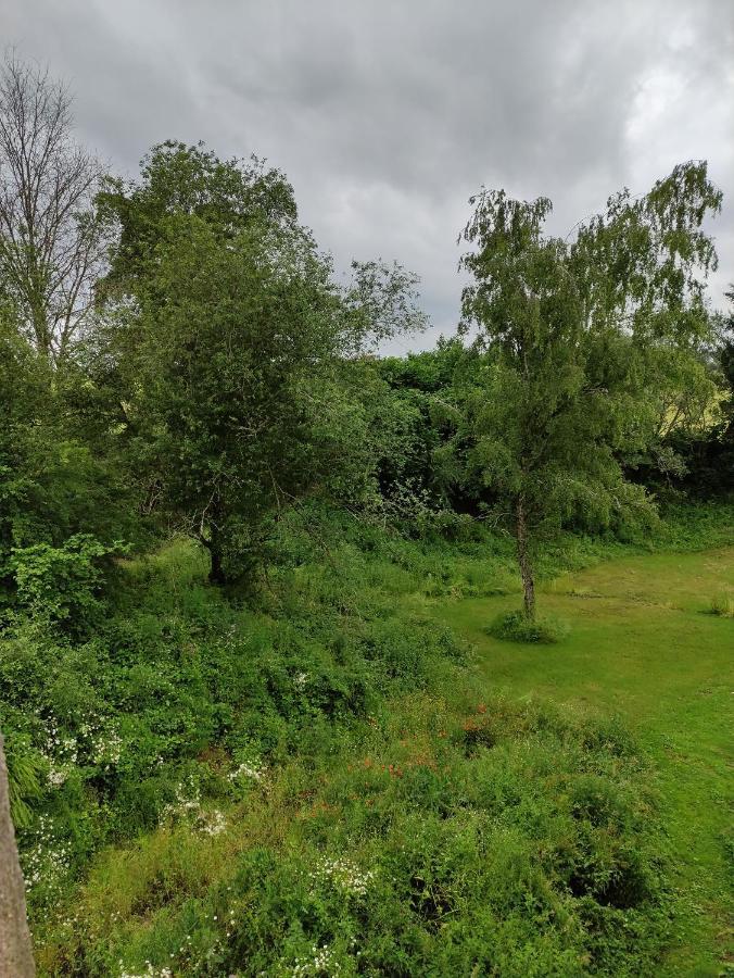 Gite Les Eylauds Pionsat Exterior foto